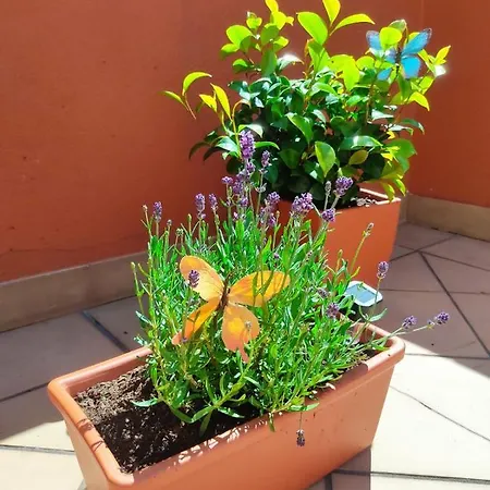 ático Con Terraza En El Centro Vut-co-04045 Santiago de Compostela